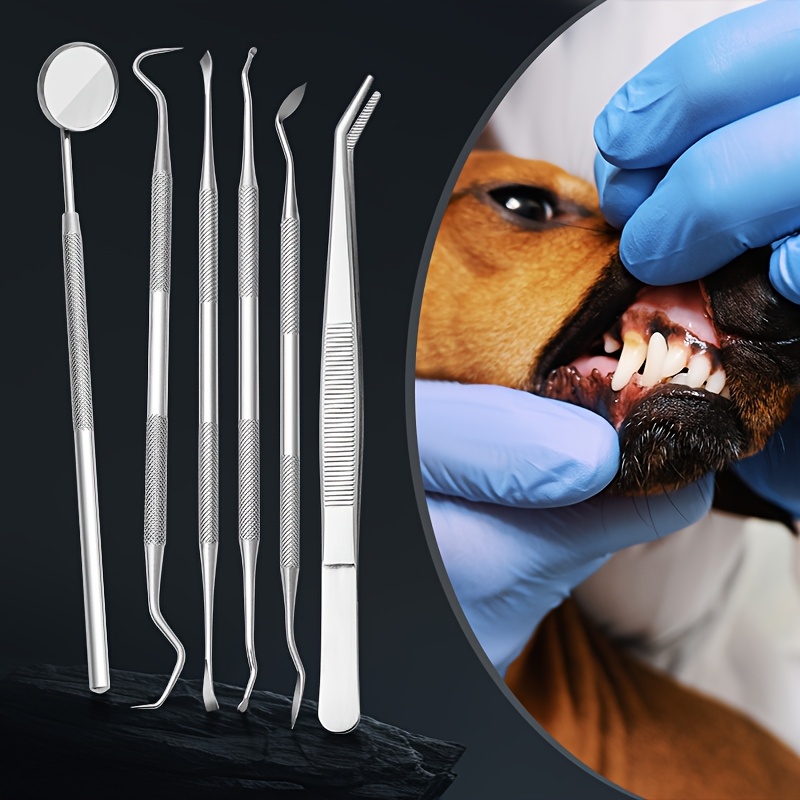 6pcs Soundwave Tartar Remover  - Teeth Whitening Mouthwash review and price