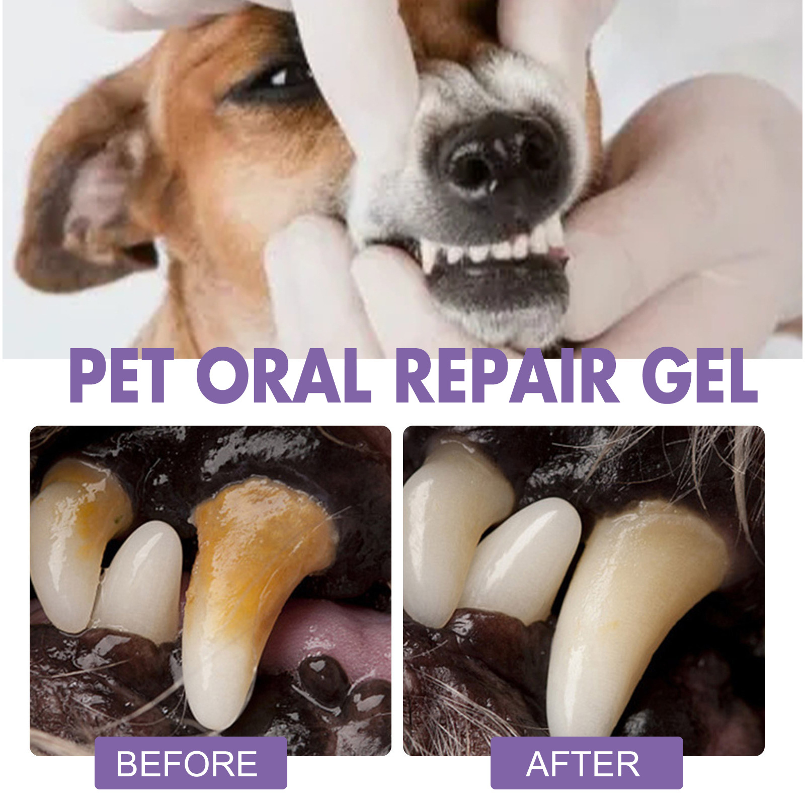 Pet Oral Repair Gel Puppy Tart - Teeth Whitening Near Me review and price